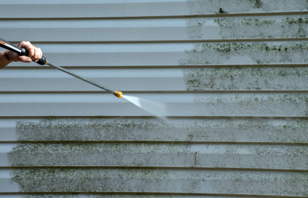 Reliable Rochelle, IL Pressure Washing Services Solutions